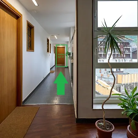 Casa Elena Апартаменти *